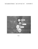 CRYSTALLINE MICROSPHERES AND THE PROCESS FOR MANUFACTURING THE SAME diagram and image