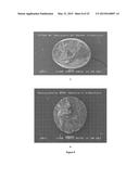 CRYSTALLINE MICROSPHERES AND THE PROCESS FOR MANUFACTURING THE SAME diagram and image