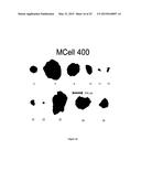 CRYSTALLINE MICROSPHERES AND THE PROCESS FOR MANUFACTURING THE SAME diagram and image