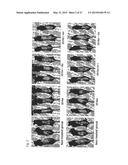 COMPOSITION FOR IMPROVING OR PROMOTING HAIR GROWTH CONTAINING, AS ACTIVE     INGREDIENTS, PHOTOSENSITIZER IRRADIATED WITH LIGHT AND PEPTIDE, AND     METHOD USING SAME diagram and image