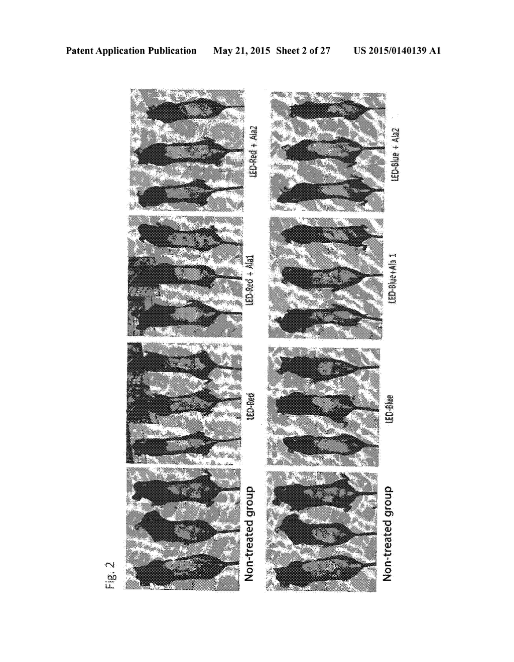 COMPOSITION FOR IMPROVING OR PROMOTING HAIR GROWTH CONTAINING, AS ACTIVE     INGREDIENTS, PHOTOSENSITIZER IRRADIATED WITH LIGHT AND PEPTIDE, AND     METHOD USING SAME - diagram, schematic, and image 03