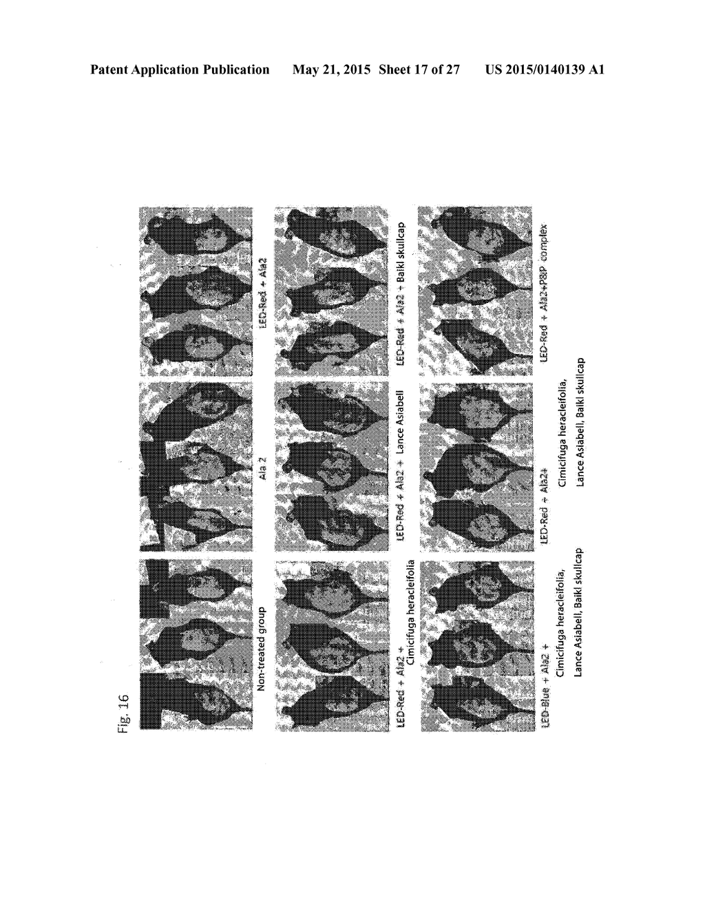 COMPOSITION FOR IMPROVING OR PROMOTING HAIR GROWTH CONTAINING, AS ACTIVE     INGREDIENTS, PHOTOSENSITIZER IRRADIATED WITH LIGHT AND PEPTIDE, AND     METHOD USING SAME - diagram, schematic, and image 18