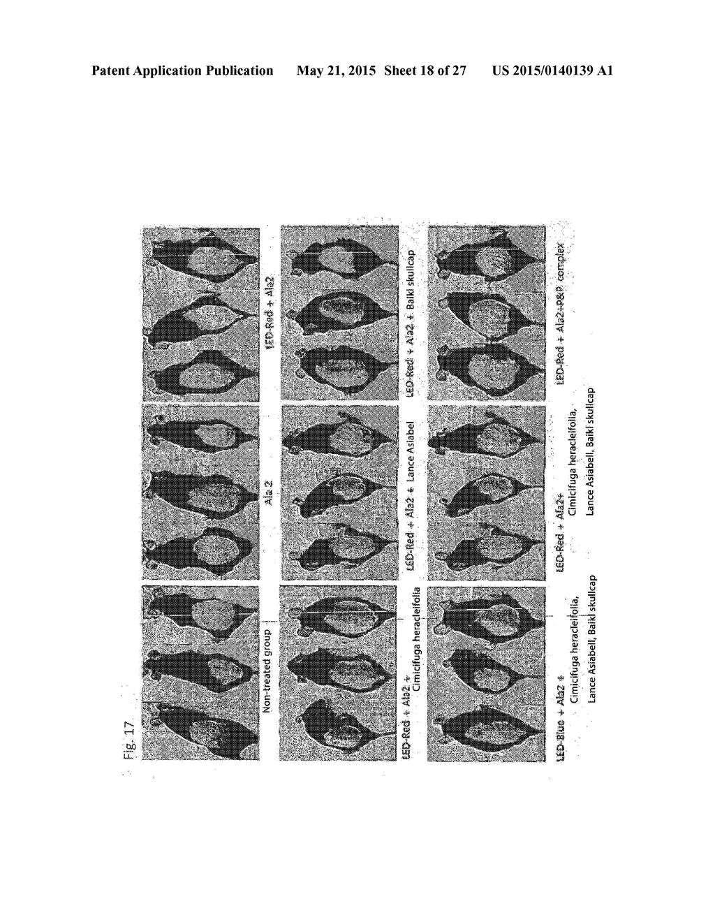 COMPOSITION FOR IMPROVING OR PROMOTING HAIR GROWTH CONTAINING, AS ACTIVE     INGREDIENTS, PHOTOSENSITIZER IRRADIATED WITH LIGHT AND PEPTIDE, AND     METHOD USING SAME - diagram, schematic, and image 19