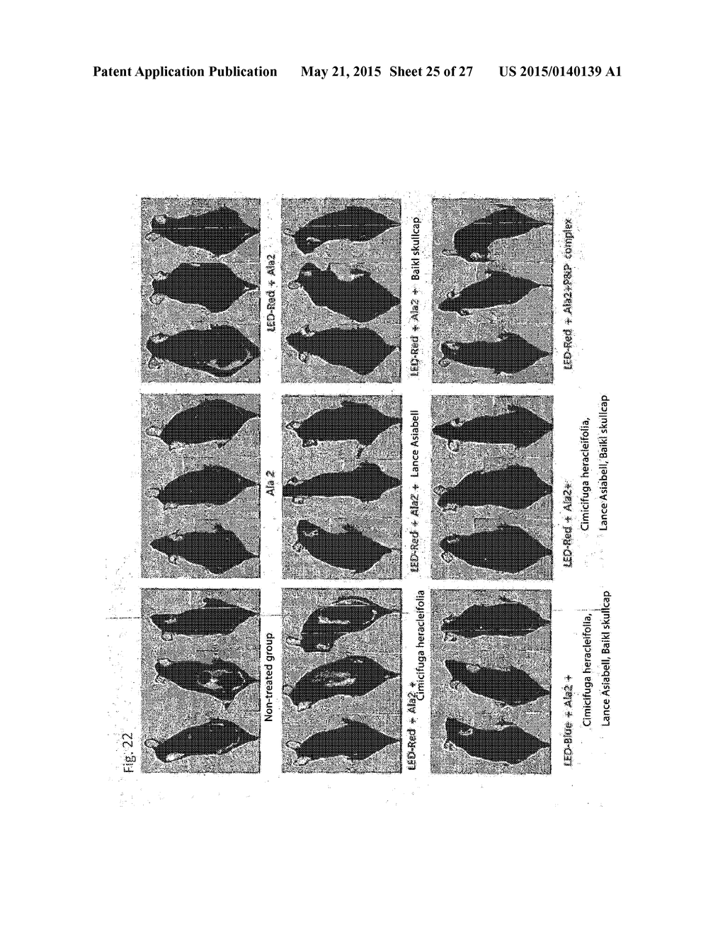 COMPOSITION FOR IMPROVING OR PROMOTING HAIR GROWTH CONTAINING, AS ACTIVE     INGREDIENTS, PHOTOSENSITIZER IRRADIATED WITH LIGHT AND PEPTIDE, AND     METHOD USING SAME - diagram, schematic, and image 26