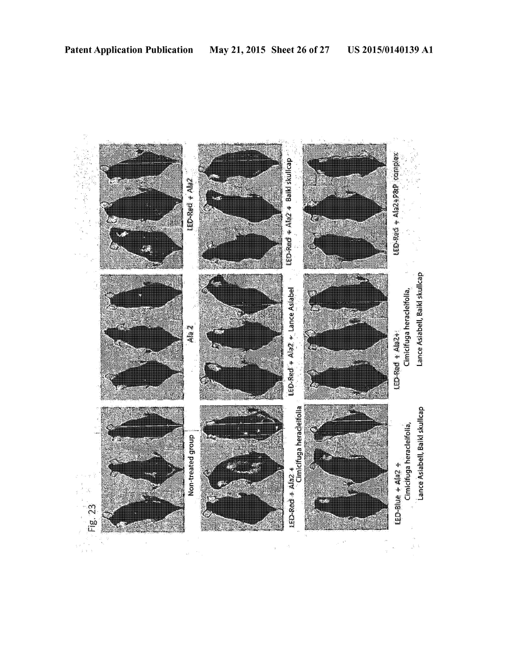 COMPOSITION FOR IMPROVING OR PROMOTING HAIR GROWTH CONTAINING, AS ACTIVE     INGREDIENTS, PHOTOSENSITIZER IRRADIATED WITH LIGHT AND PEPTIDE, AND     METHOD USING SAME - diagram, schematic, and image 27