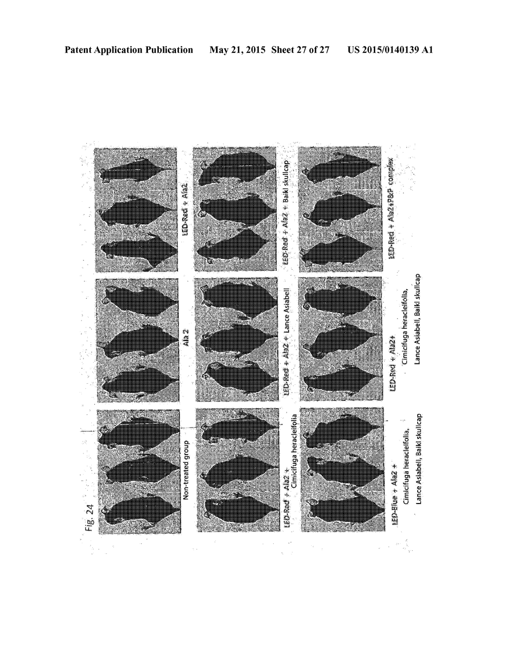 COMPOSITION FOR IMPROVING OR PROMOTING HAIR GROWTH CONTAINING, AS ACTIVE     INGREDIENTS, PHOTOSENSITIZER IRRADIATED WITH LIGHT AND PEPTIDE, AND     METHOD USING SAME - diagram, schematic, and image 28