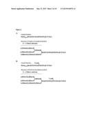 CANCER SPECIFIC GLYCANS AND USE THEREOF diagram and image