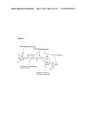 CANCER SPECIFIC GLYCANS AND USE THEREOF diagram and image