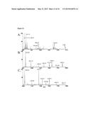 CANCER SPECIFIC GLYCANS AND USE THEREOF diagram and image