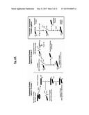 ONE STEP N-TERMINAL TAGGING OF PROTEINS diagram and image