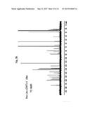 ONE STEP N-TERMINAL TAGGING OF PROTEINS diagram and image