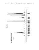 ONE STEP N-TERMINAL TAGGING OF PROTEINS diagram and image