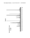 ONE STEP N-TERMINAL TAGGING OF PROTEINS diagram and image