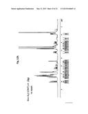 ONE STEP N-TERMINAL TAGGING OF PROTEINS diagram and image