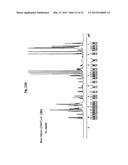 ONE STEP N-TERMINAL TAGGING OF PROTEINS diagram and image