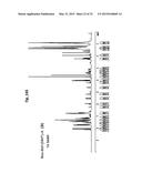 ONE STEP N-TERMINAL TAGGING OF PROTEINS diagram and image