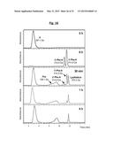 ONE STEP N-TERMINAL TAGGING OF PROTEINS diagram and image