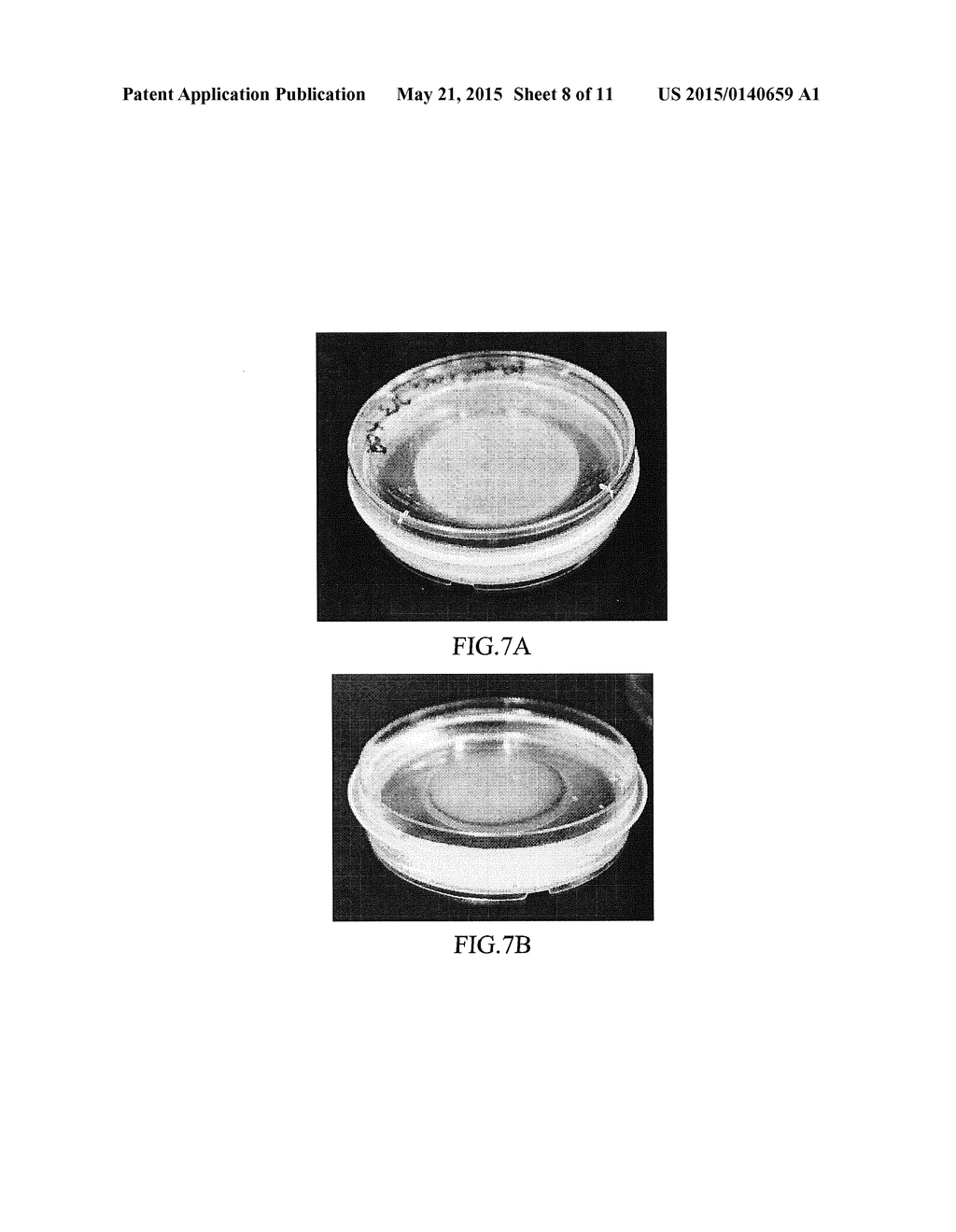 THREE-DIMENSIONAL CELL CULTURE SYSTEM AND MANUFACTURING METHOD THEREOF - diagram, schematic, and image 09