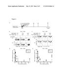 Large Gene Excision and Insertion diagram and image