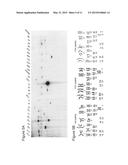 Site-Specific Integration of Transgenes into Human Cells diagram and image