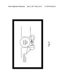 SINGLE MOLECULE LOADING METHODS AND COMPOSITIONS diagram and image