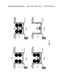 SINGLE MOLECULE LOADING METHODS AND COMPOSITIONS diagram and image