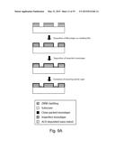 SINGLE MOLECULE LOADING METHODS AND COMPOSITIONS diagram and image