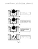 SINGLE MOLECULE LOADING METHODS AND COMPOSITIONS diagram and image