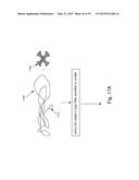 SINGLE MOLECULE LOADING METHODS AND COMPOSITIONS diagram and image