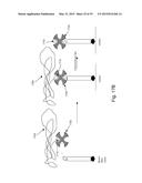 SINGLE MOLECULE LOADING METHODS AND COMPOSITIONS diagram and image