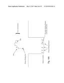 SINGLE MOLECULE LOADING METHODS AND COMPOSITIONS diagram and image