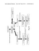 SINGLE MOLECULE LOADING METHODS AND COMPOSITIONS diagram and image