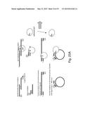 SINGLE MOLECULE LOADING METHODS AND COMPOSITIONS diagram and image