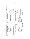 SINGLE MOLECULE LOADING METHODS AND COMPOSITIONS diagram and image