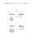 HYBRIDIZATION-BASED REPLICATION OF NUCLEIC ACID MOLECULES diagram and image