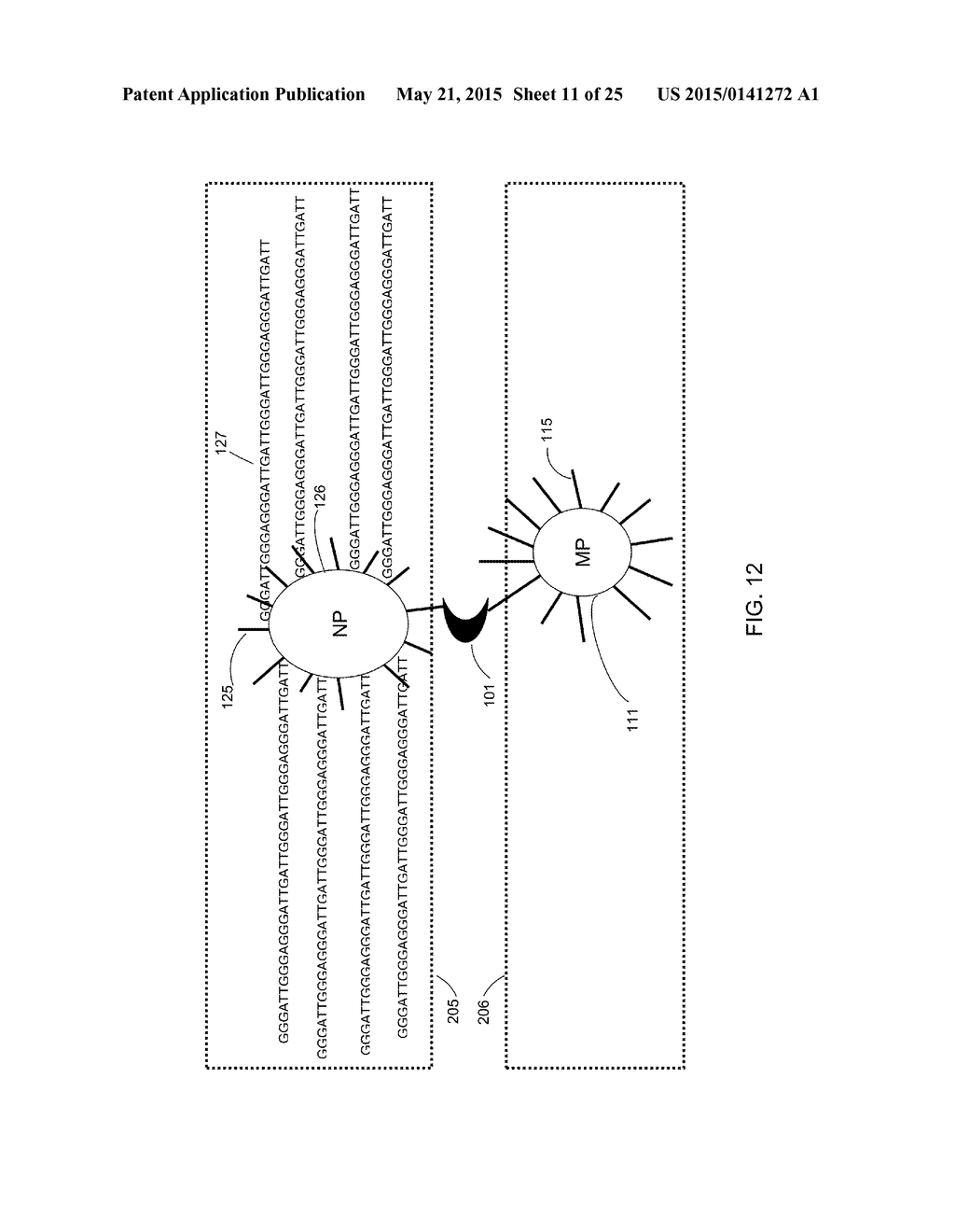 ULTRA-SENSITIVE DETECTION OF EXTREMELY LOW LEVEL BIOLOGICAL ANALYTES USING     ELECTROCHEMICAL SIGNAL AMPLIFICATION AND BIOSENSOR - diagram, schematic, and image 12