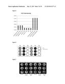 METHODS OF QUANTIFYING OF NUCLEIC ACIDS CAPTURED ON A SOLID SUPPORT diagram and image