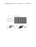 METHODS OF QUANTIFYING OF NUCLEIC ACIDS CAPTURED ON A SOLID SUPPORT diagram and image