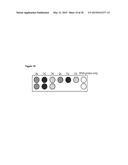 METHODS OF QUANTIFYING OF NUCLEIC ACIDS CAPTURED ON A SOLID SUPPORT diagram and image