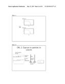 METHODS OF QUANTIFYING OF NUCLEIC ACIDS CAPTURED ON A SOLID SUPPORT diagram and image