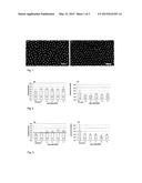 HIGHLY ORDERED ARRAYS OF MICELLES OR NANOPARTICLES ON A SUBSTRATE SURFACE     AND METHODS FOR PRODUCING THE SAME diagram and image