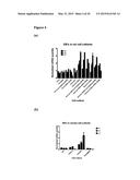 NOVEL COMPOUNDS AND METHODS FOR INHIBITING CELL DEATH diagram and image