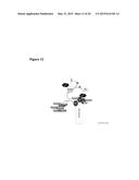 NOVEL COMPOUNDS AND METHODS FOR INHIBITING CELL DEATH diagram and image