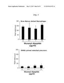 BONE LOSS PREVENTING AND BONE REGENERATION OR BONE FORMATION PROMOTING     PHARMACEUTICAL COMPOSITION COMPRISING MURAMYL DIPEPTIDE diagram and image