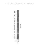 EFFECTIVE TREATMENT OF ESOPHOGEAL ADENOCARCINOMA USING TRICIRIBINE AND     RELATED COMPOUNDS diagram and image