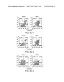 EFFECTIVE TREATMENT OF ESOPHOGEAL ADENOCARCINOMA USING TRICIRIBINE AND     RELATED COMPOUNDS diagram and image