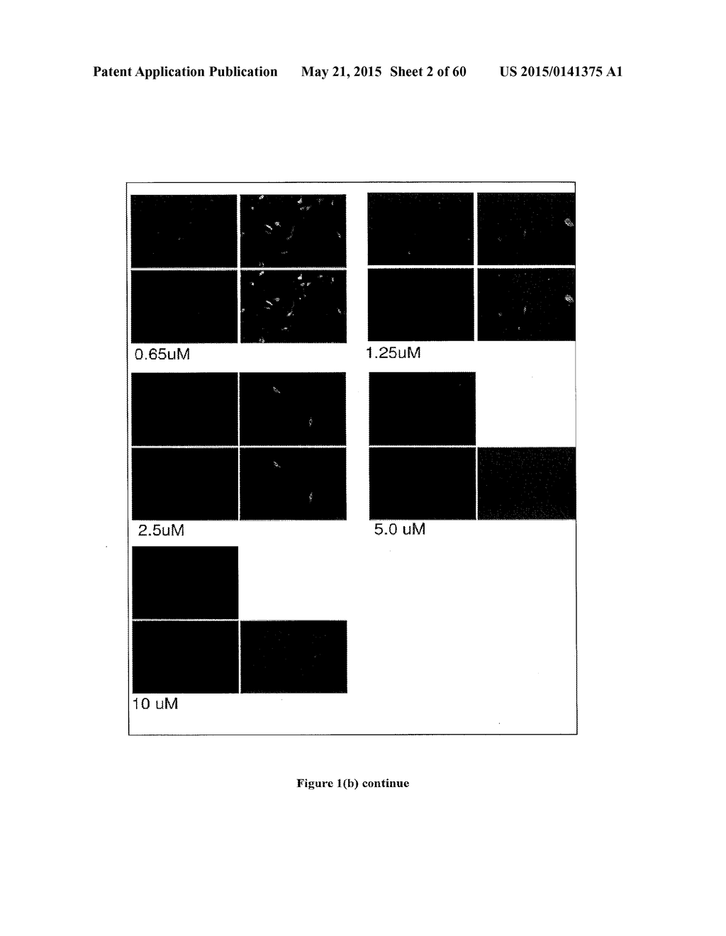 Methods of Treating Viral Associated Diseases - diagram, schematic, and image 03