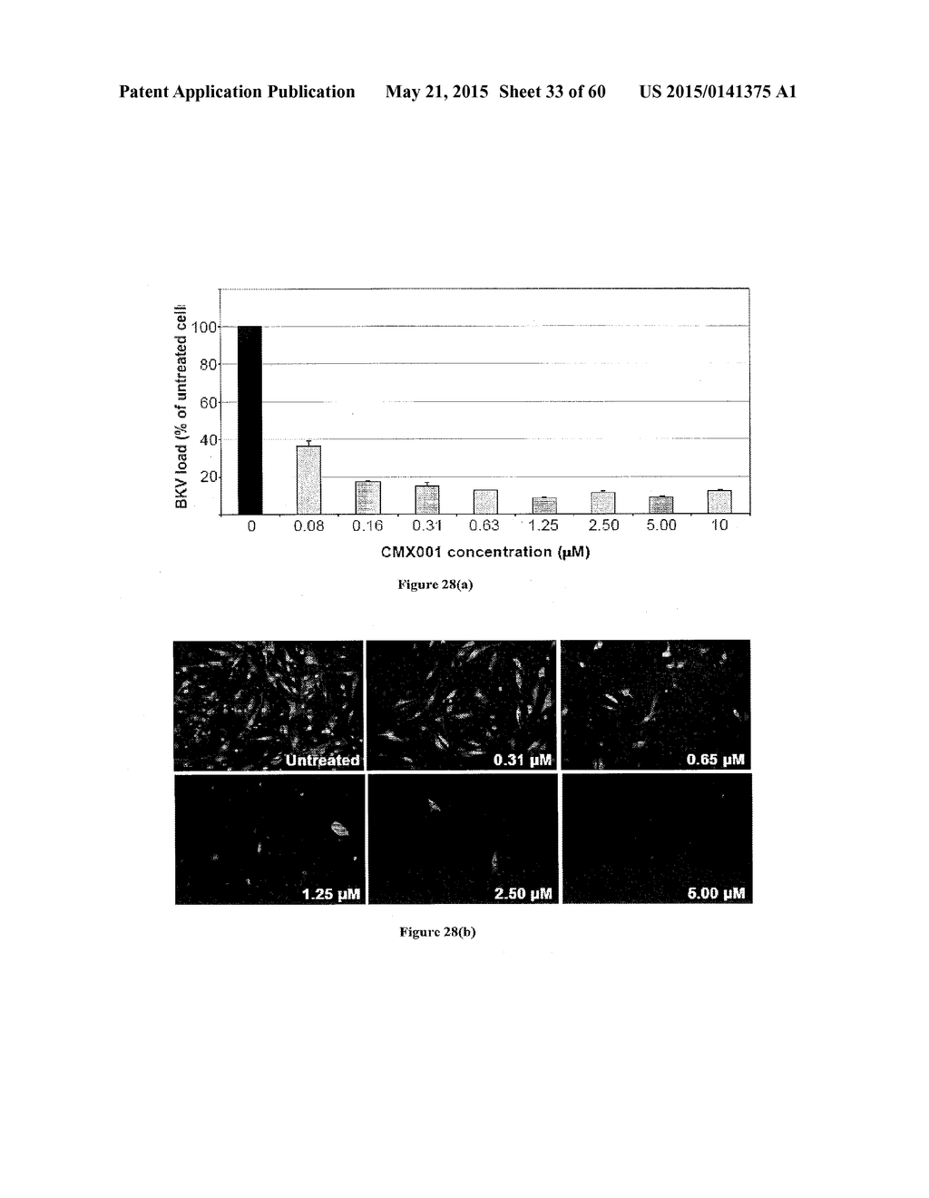 Methods of Treating Viral Associated Diseases - diagram, schematic, and image 34