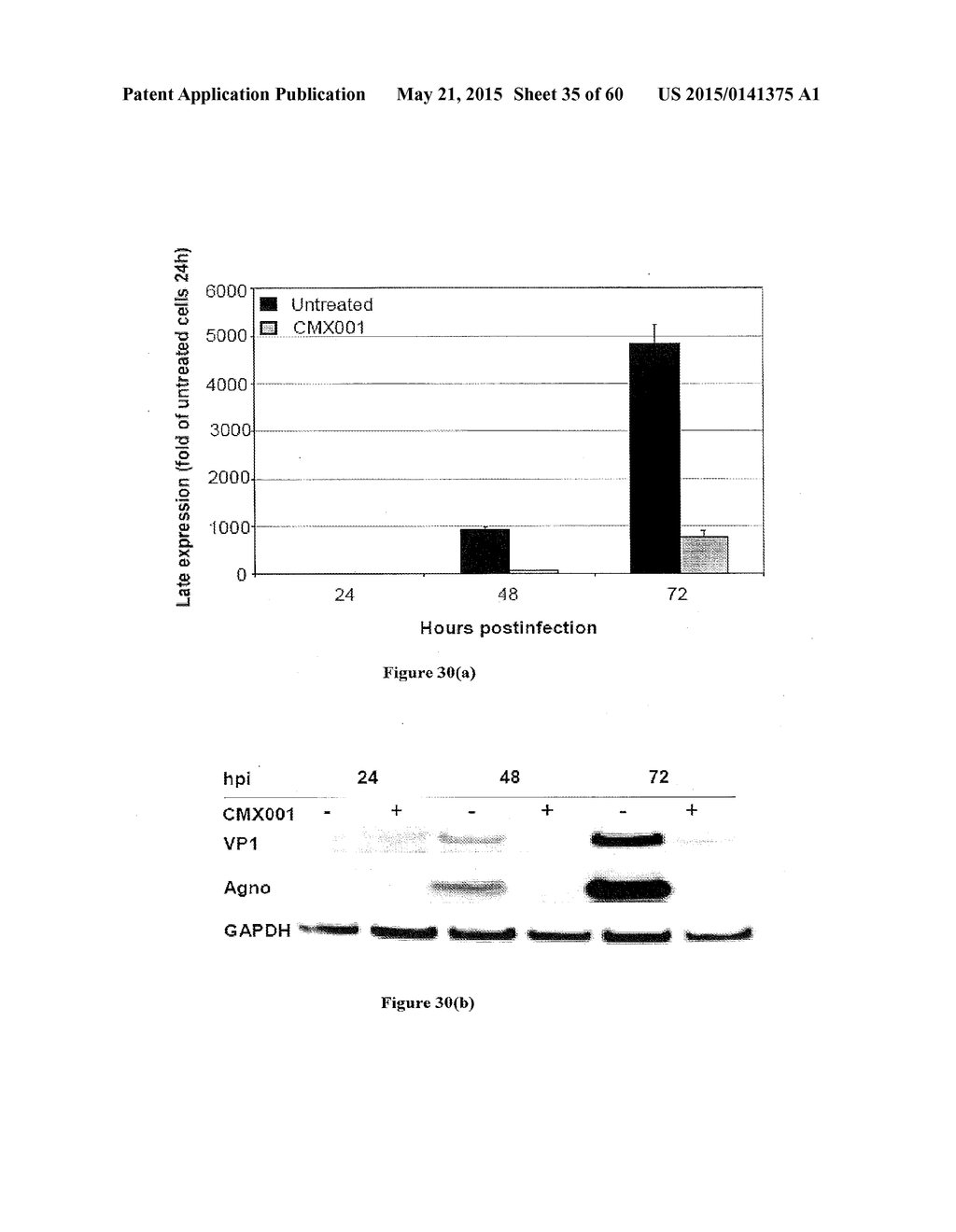 Methods of Treating Viral Associated Diseases - diagram, schematic, and image 36