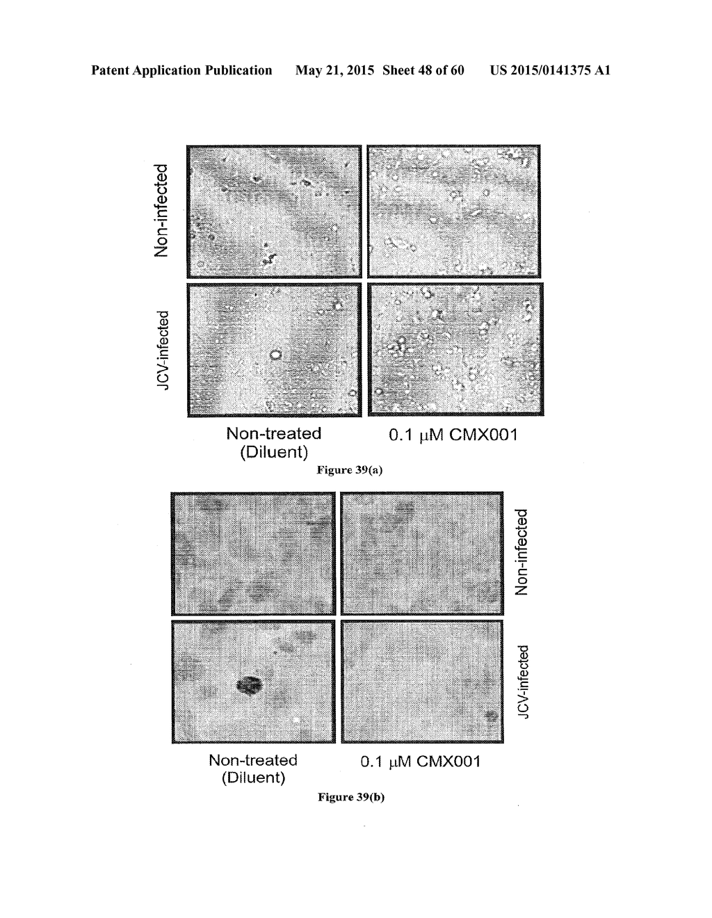 Methods of Treating Viral Associated Diseases - diagram, schematic, and image 49